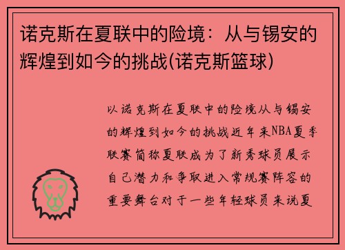 诺克斯在夏联中的险境：从与锡安的辉煌到如今的挑战(诺克斯篮球)
