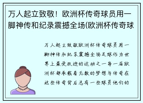 万人起立致敬！欧洲杯传奇球员用一脚神传和纪录震撼全场(欧洲杯传奇球场纪录片)