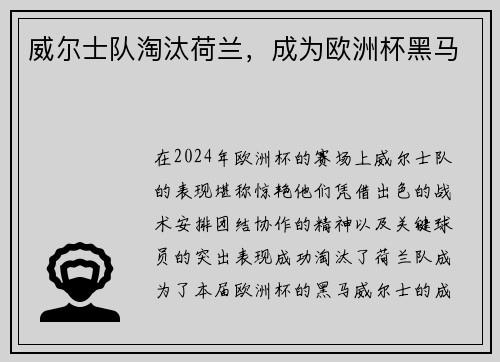 威尔士队淘汰荷兰，成为欧洲杯黑马