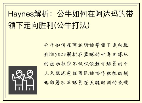 Haynes解析：公牛如何在阿达玛的带领下走向胜利(公牛打法)